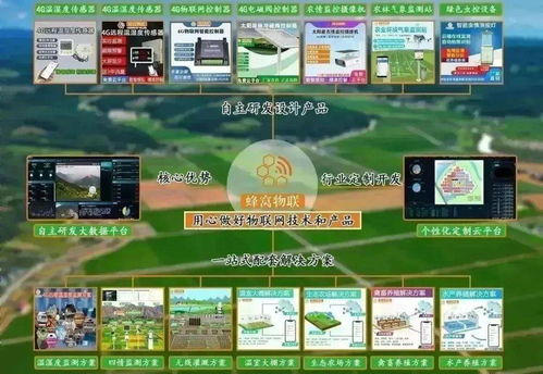 四情監測系統助力三明沙縣智慧茶園科學管控，提產增效